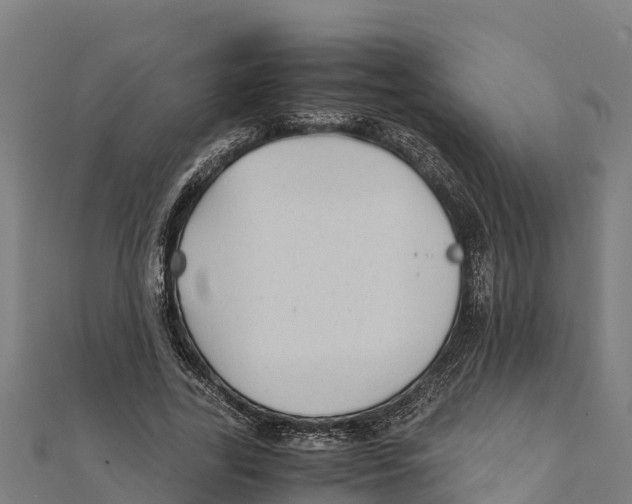 X0000111600731200908131402