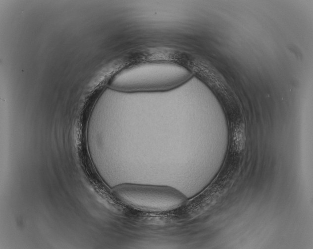 X0000111600732200908131402