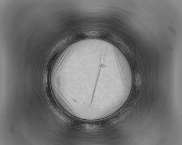 X0000111600733200908131402