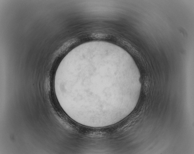 X0000111600734200908131402