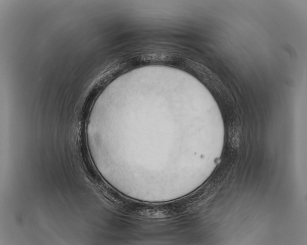X0000111600735200908131402