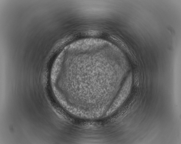 X0000111600736200908131402