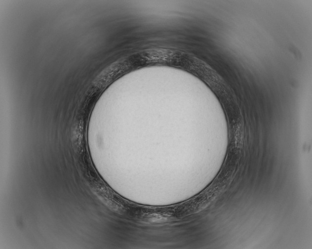 X0000111600737200908131402