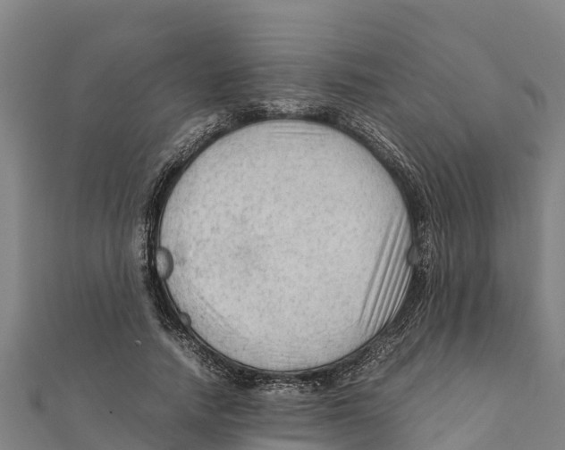 X0000111600738200908131402