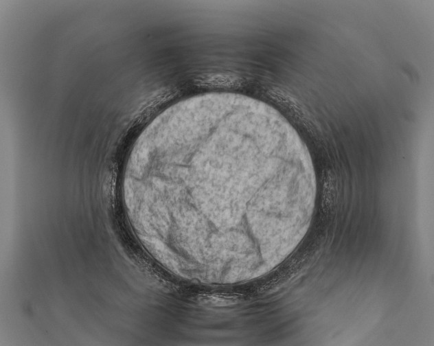 X0000111600739200908131402