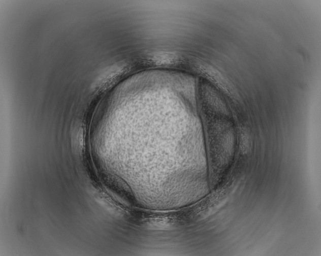 X0000111600740200908131402