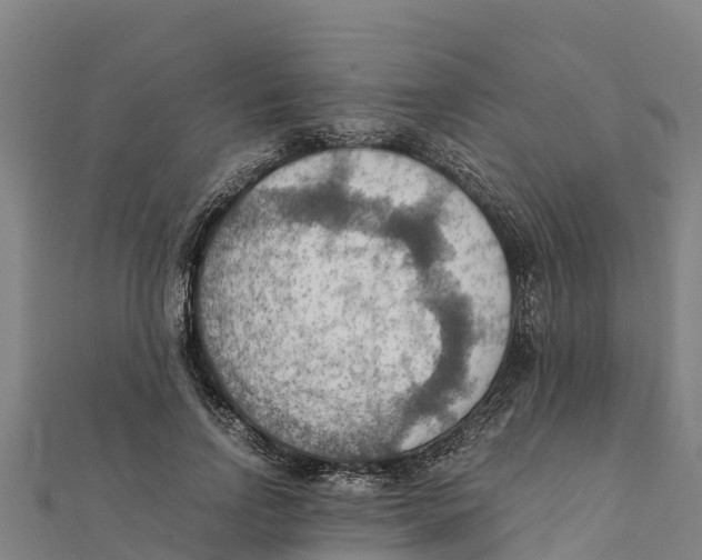 X0000111600742200908131402