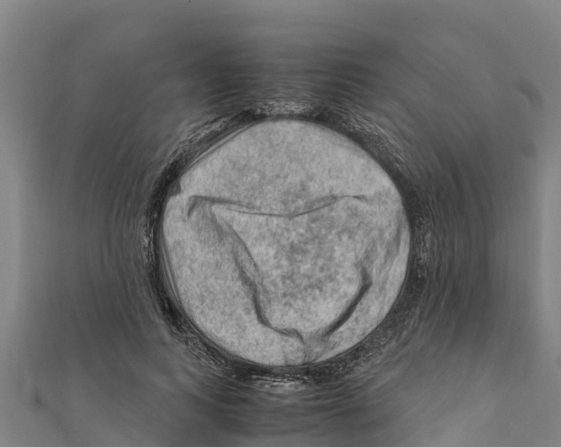 X0000111600743200908131403