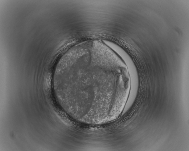 X0000111600744200908131403