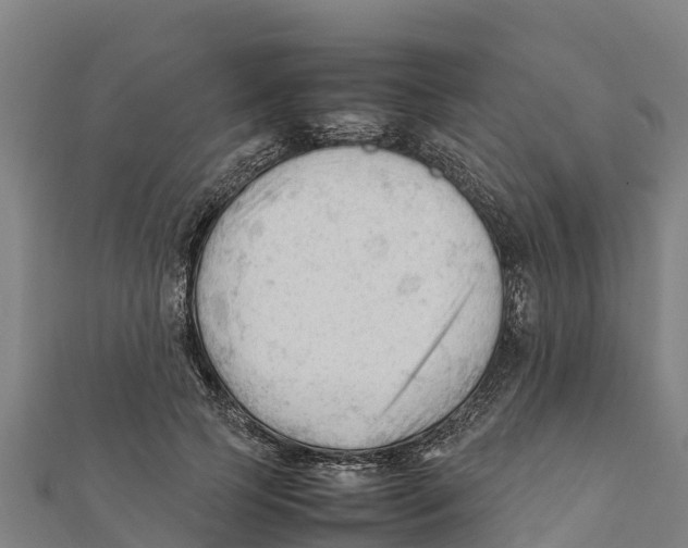 X0000111600745200908131403