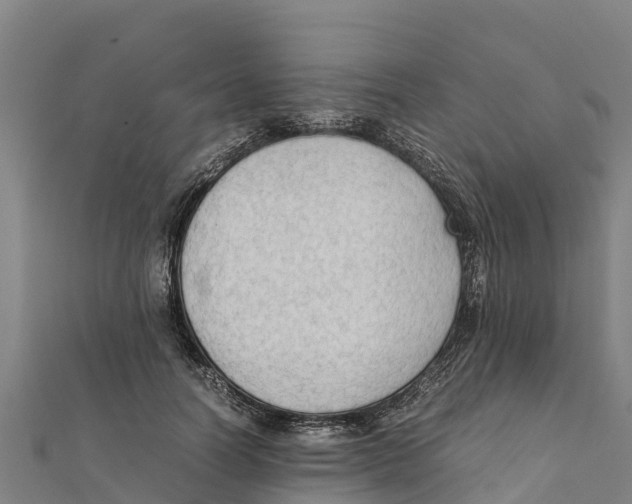 X0000111600746200908131403