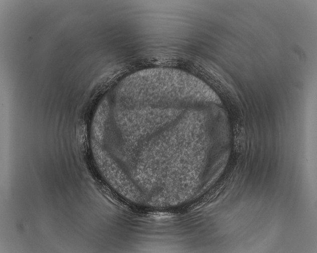 X0000111600748200908131403
