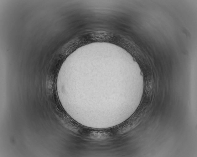 X0000111600749200908131403