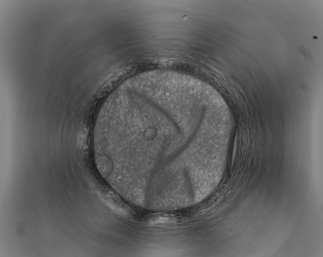 X0000111600750200908131403