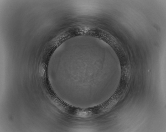 X0000111600754200908131403