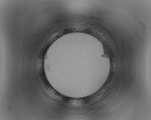 X0000111600756200908131403