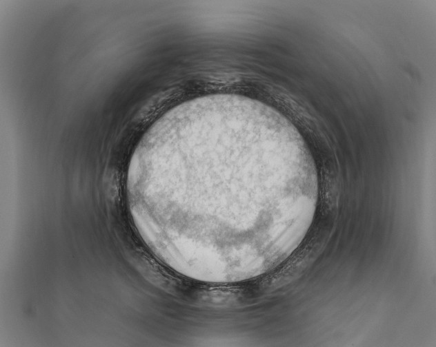X0000111600758200908131403