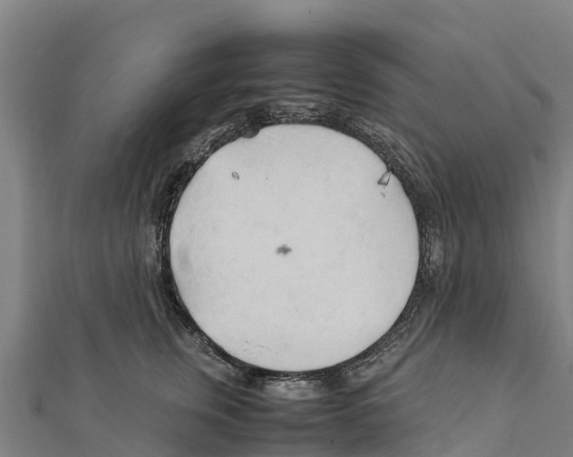 X0000111600759200908131403