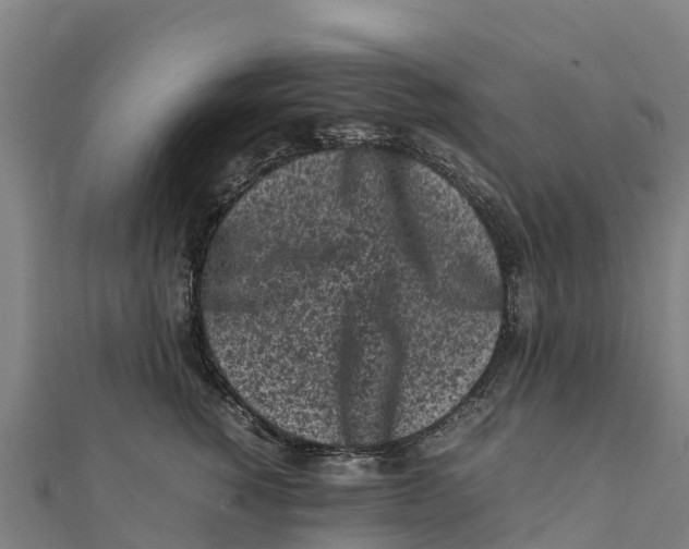 X0000111600760200908131403