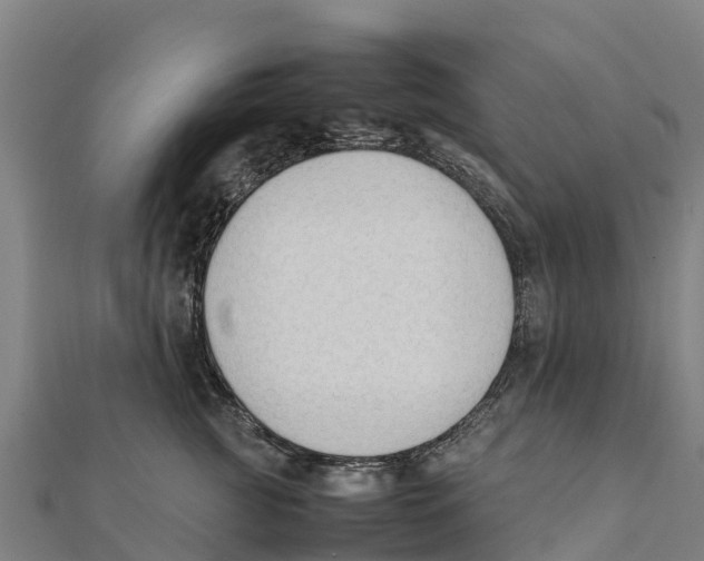X0000111600761200908131403