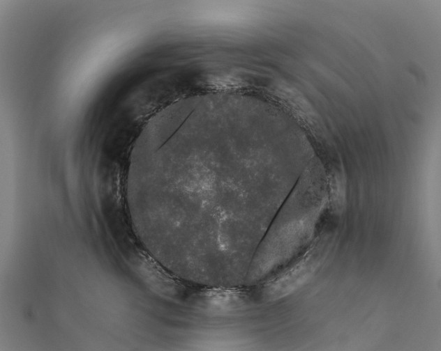 X0000111600762200908131403