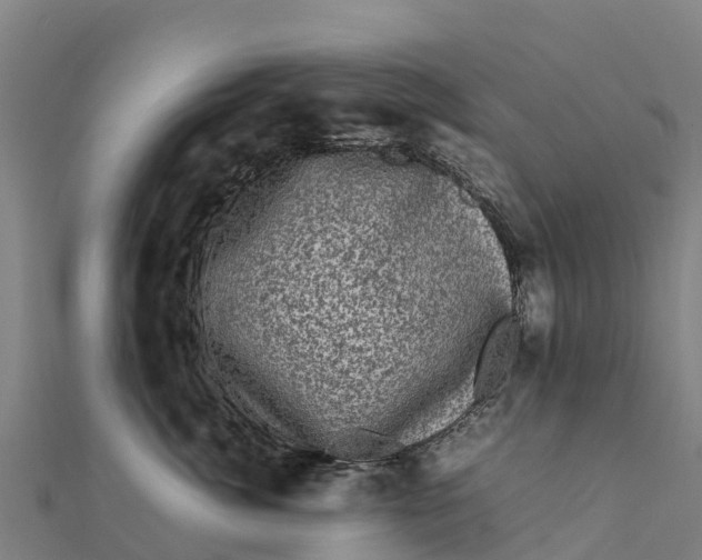 X0000111600764200908131403