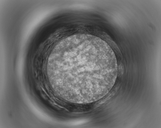 X0000111600765200908131403
