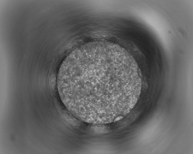 X0000111600767200908131403