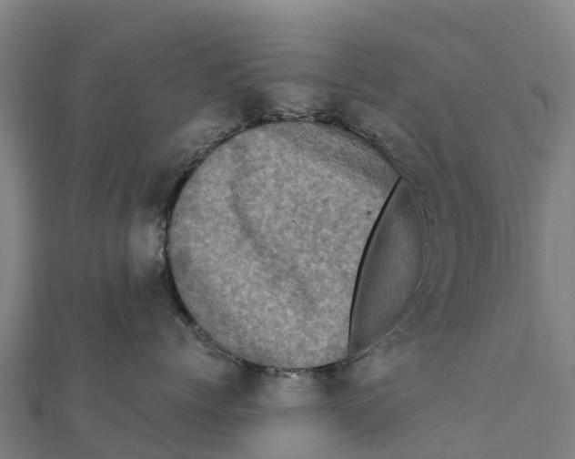 X0000111600768200908131403
