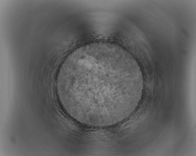 X0000111600769200908131402