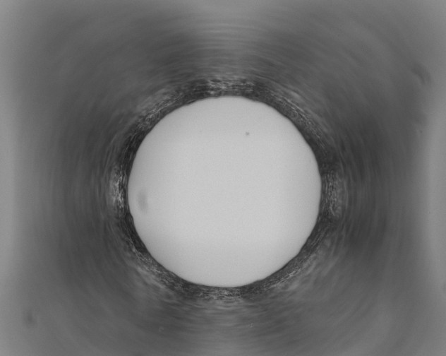 X0000111600770200908131402