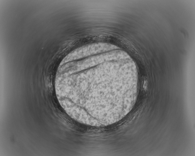 X0000111600771200908131402