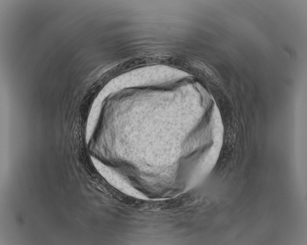 X0000111600773200908131402