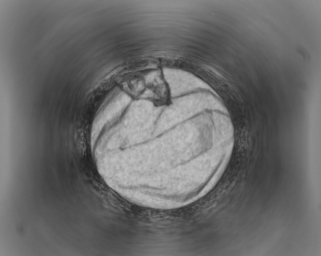 X0000111600774200908131402