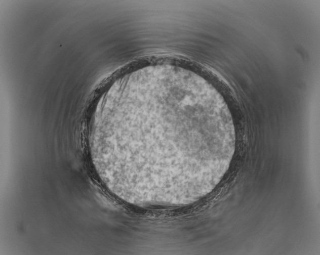 X0000111600775200908131402