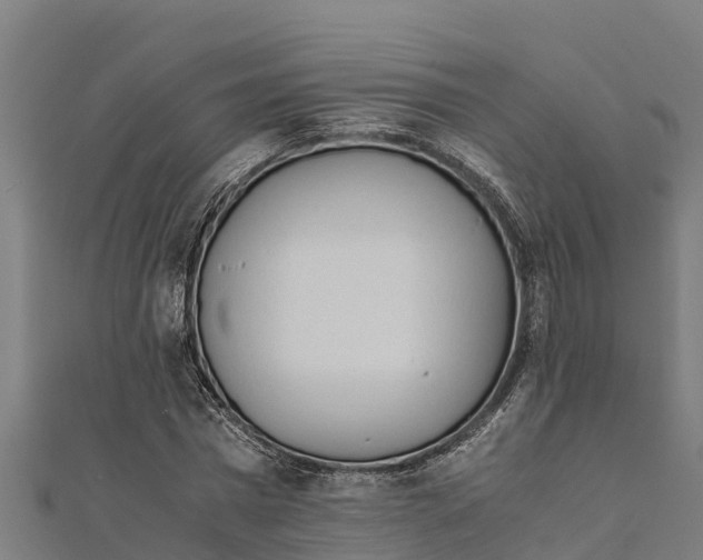X0000111600777200908131402