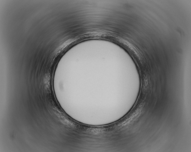 X0000111600778200908131402