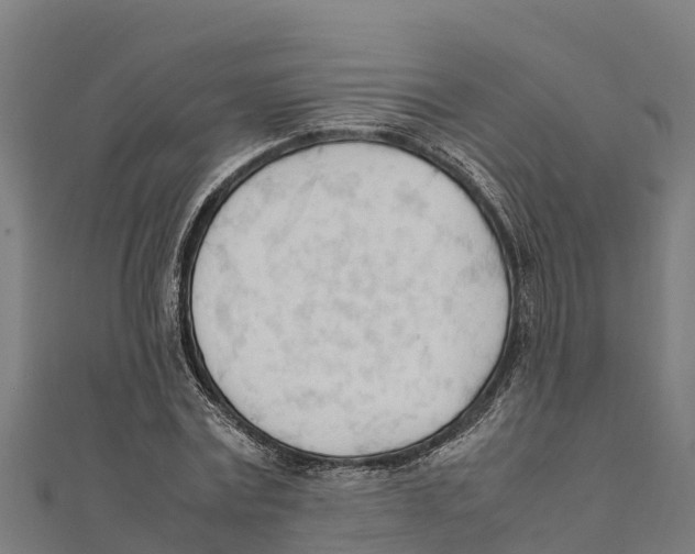 X0000111600779200908131402