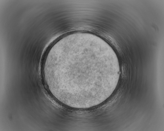 X0000111600780200908131402