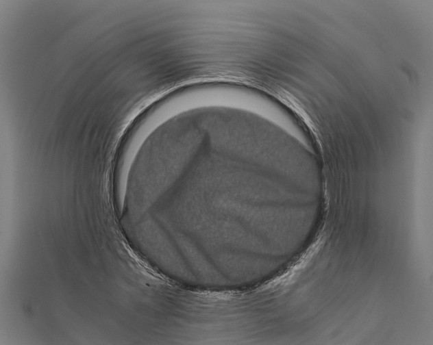 X0000111600781200908131402