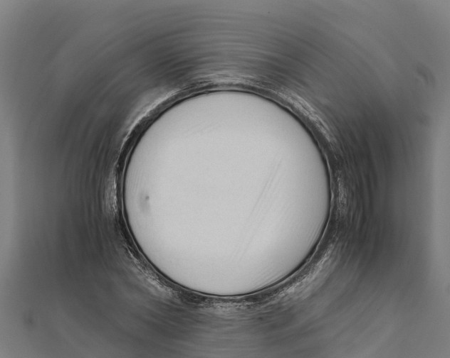 X0000111600782200908131402
