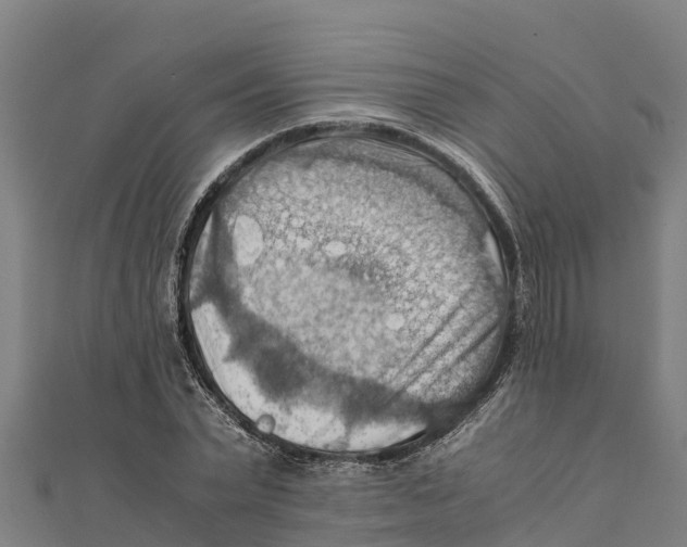 X0000111600783200908131402