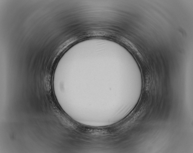 X0000111600786200908131402