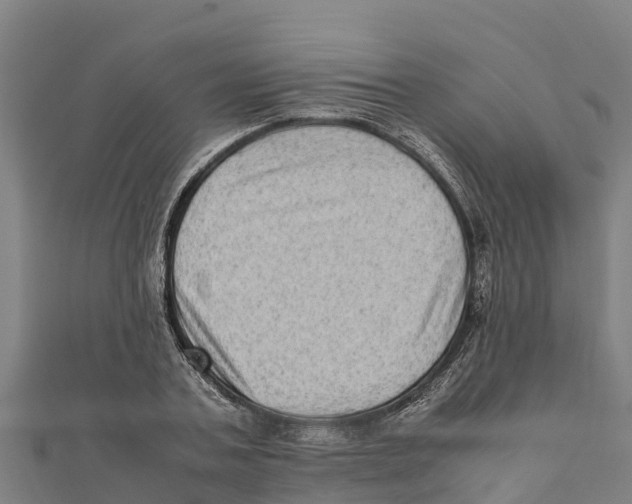 X0000111600787200908131402