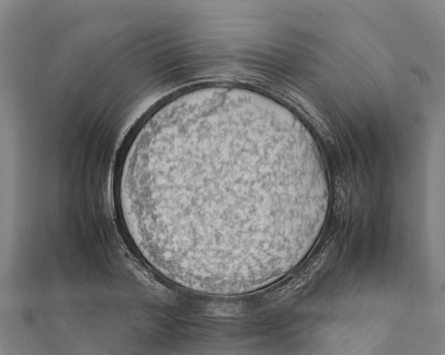 X0000111600788200908131402