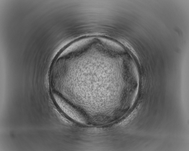 X0000111600789200908131402