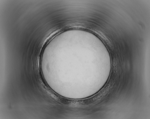 X0000111600790200908131402