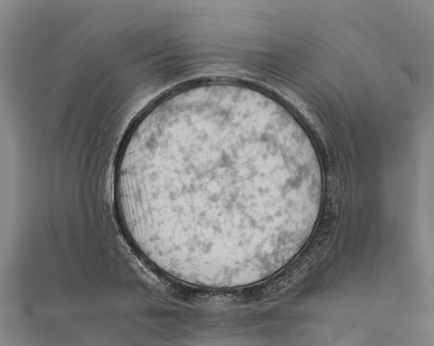 X0000111600791200908131402