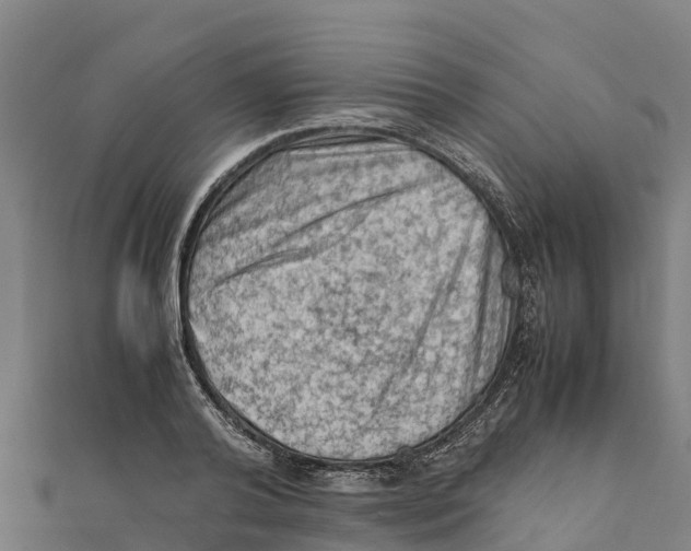 X0000111600792200908131402