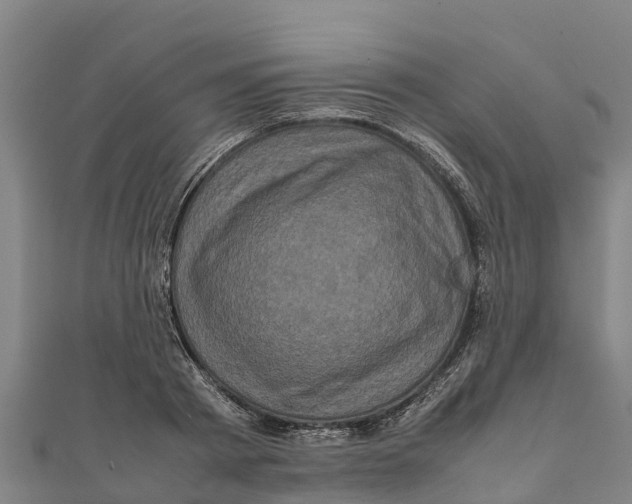 X0000111600793200908131402